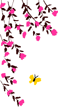 pink flowers